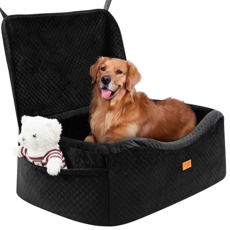 Large Don on the dog car seat with teddy bear