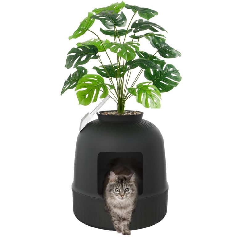 Gray long-haired tabby cat stepping out of a black planter pot that doubles as a cozy hideaway, topped with a lush Monstera-style houseplant