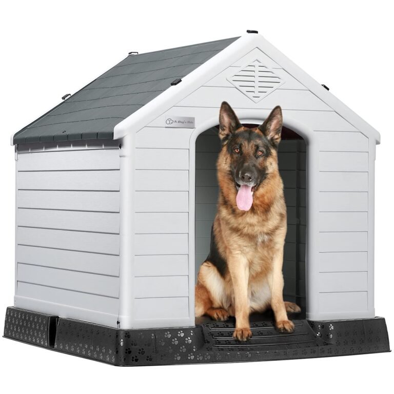 German Shepard in his dog house